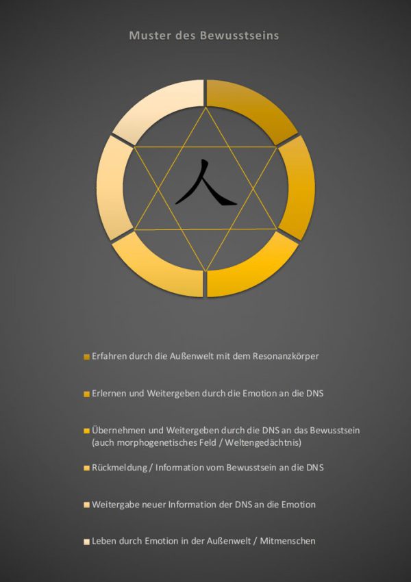Muster-Bewusstseins_schwarz